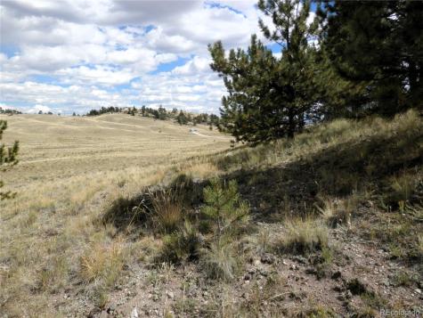 99 Pack Saddle Court Hartsel CO 80449