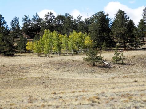 99 Pack Saddle Court Hartsel CO 80449