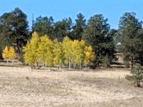 99 Pack Saddle Court Hartsel CO 80449