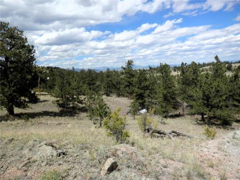 99 Pack Saddle Court Hartsel CO 80449