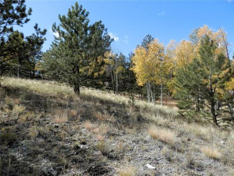 99 Pack Saddle Court Hartsel CO 80449