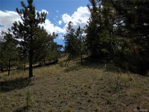 99 Pack Saddle Court Hartsel CO 80449