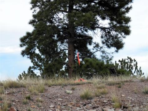 99 Pack Saddle Court Hartsel CO 80449