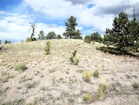 99 Pack Saddle Court Hartsel CO 80449