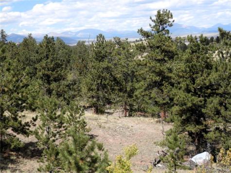 99 Pack Saddle Court Hartsel CO 80449