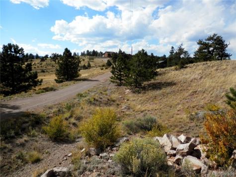 99 Pack Saddle Court Hartsel CO 80449