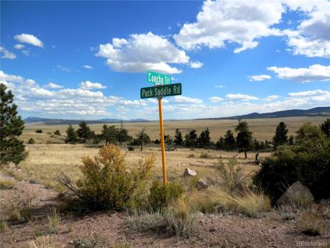 99 Pack Saddle Court Hartsel CO 80449