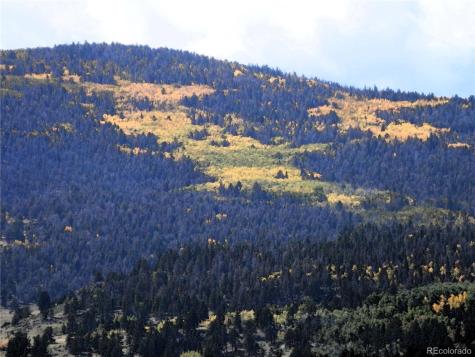 99 Pack Saddle Court Hartsel CO 80449