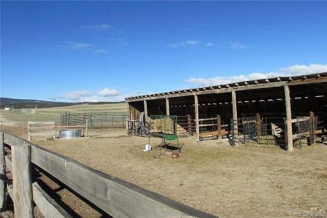 99 Pack Saddle Court Hartsel CO 80449