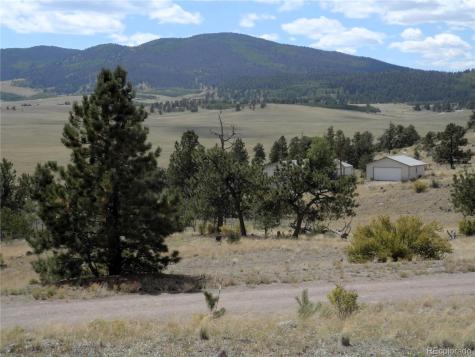 99 Pack Saddle Court Hartsel CO 80449