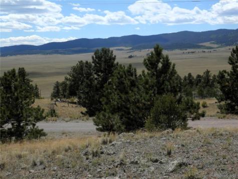 99 Pack Saddle Court Hartsel CO 80449