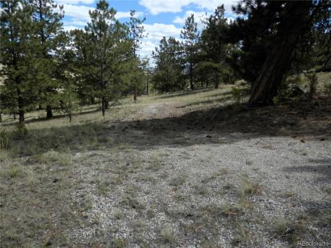 99 Pack Saddle Court Hartsel CO 80449