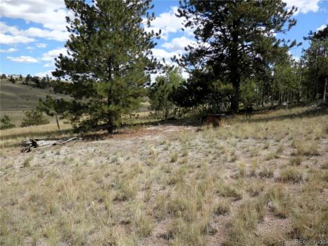 99 Pack Saddle Court Hartsel CO 80449