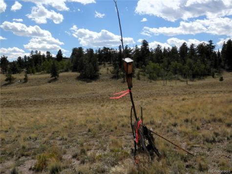 99 Pack Saddle Court Hartsel CO 80449