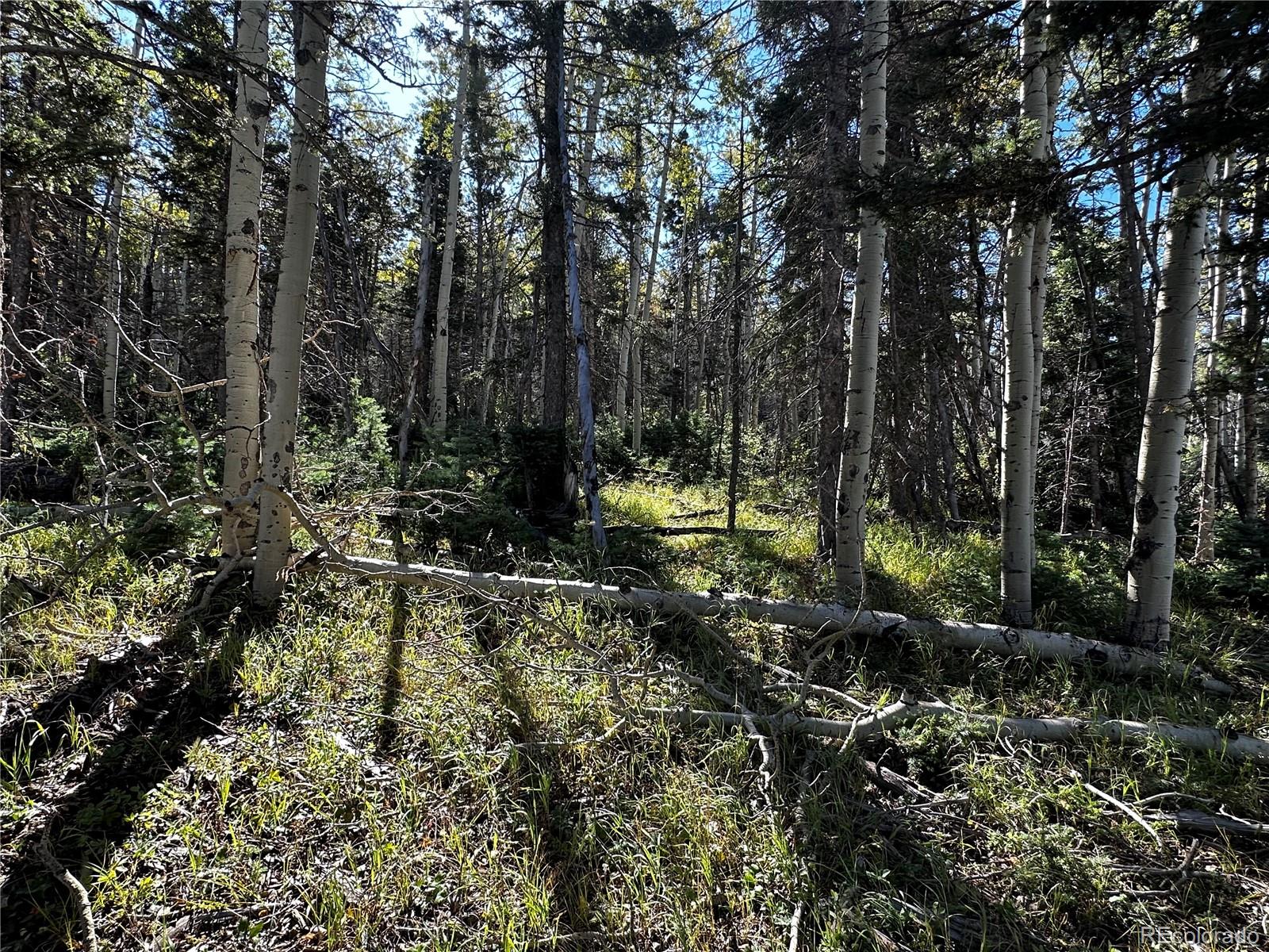 Lot 2652 Petito Drive Fort Garland CO 81133