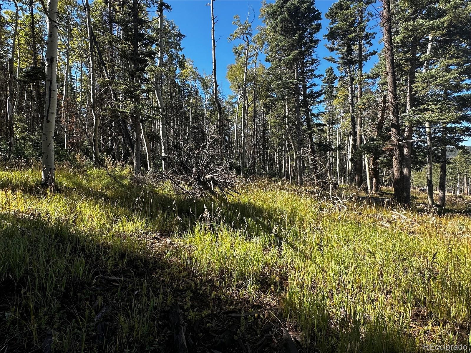 Lot 2652 Petito Drive Fort Garland CO 81133