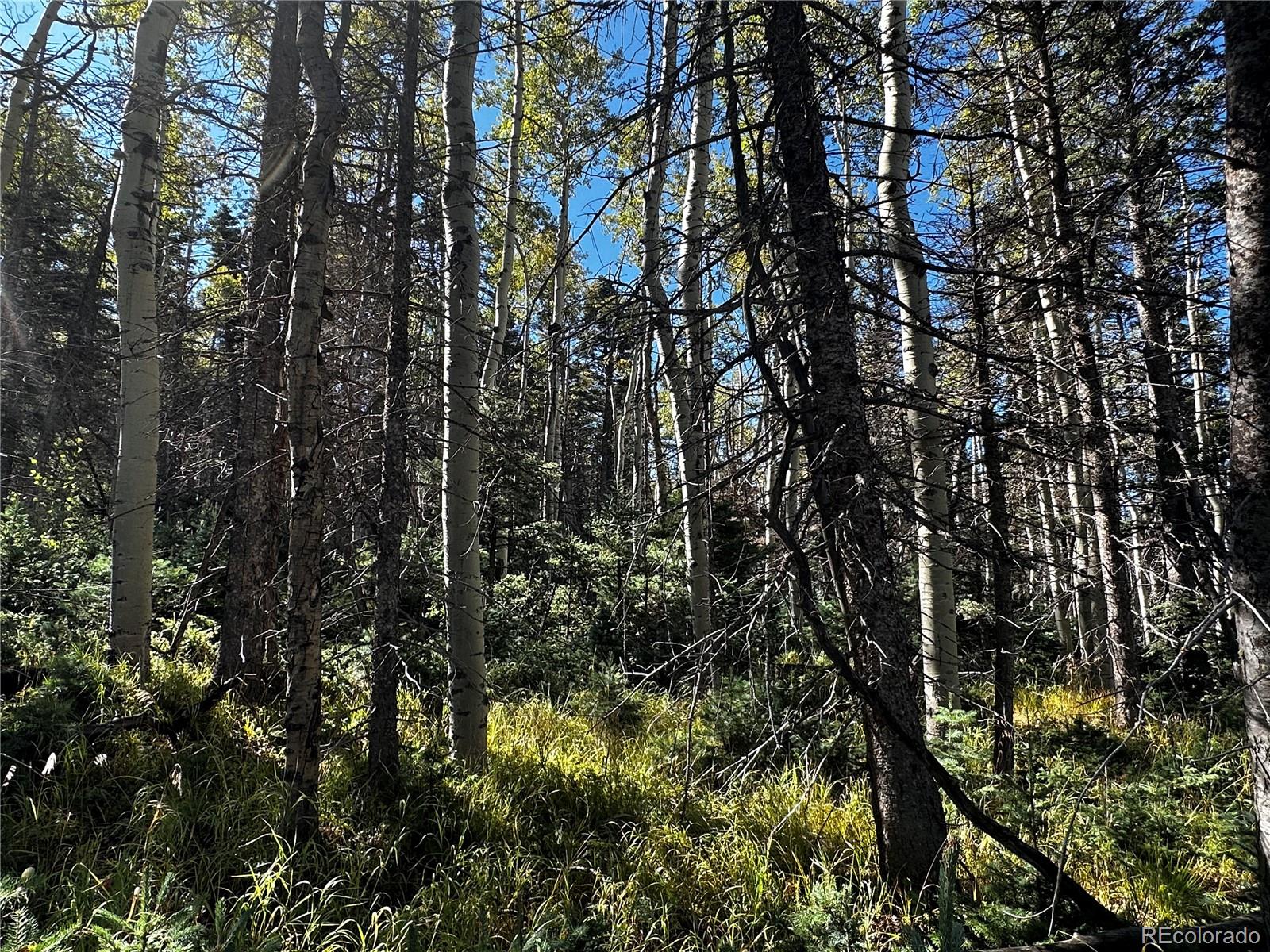 Lot 2652 Petito Drive Fort Garland CO 81133