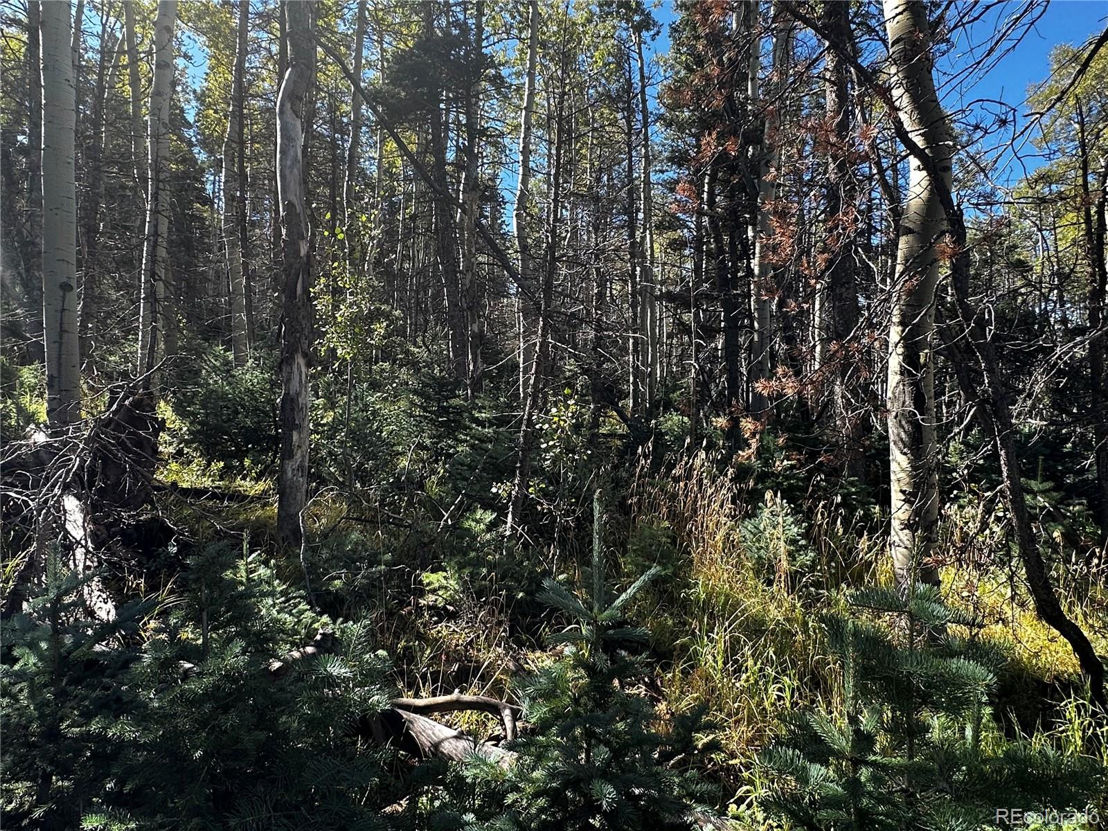 Lot 2652 Petito Drive Fort Garland CO 81133