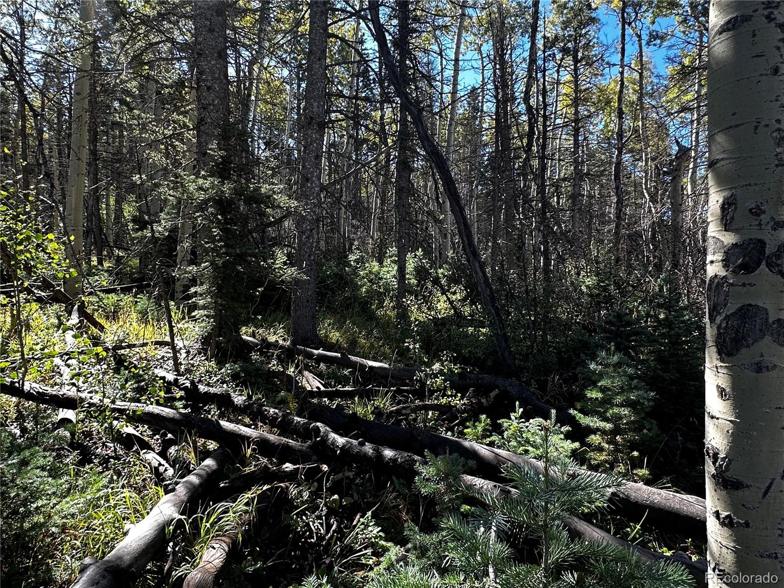Lot 2652 Petito Drive Fort Garland CO 81133