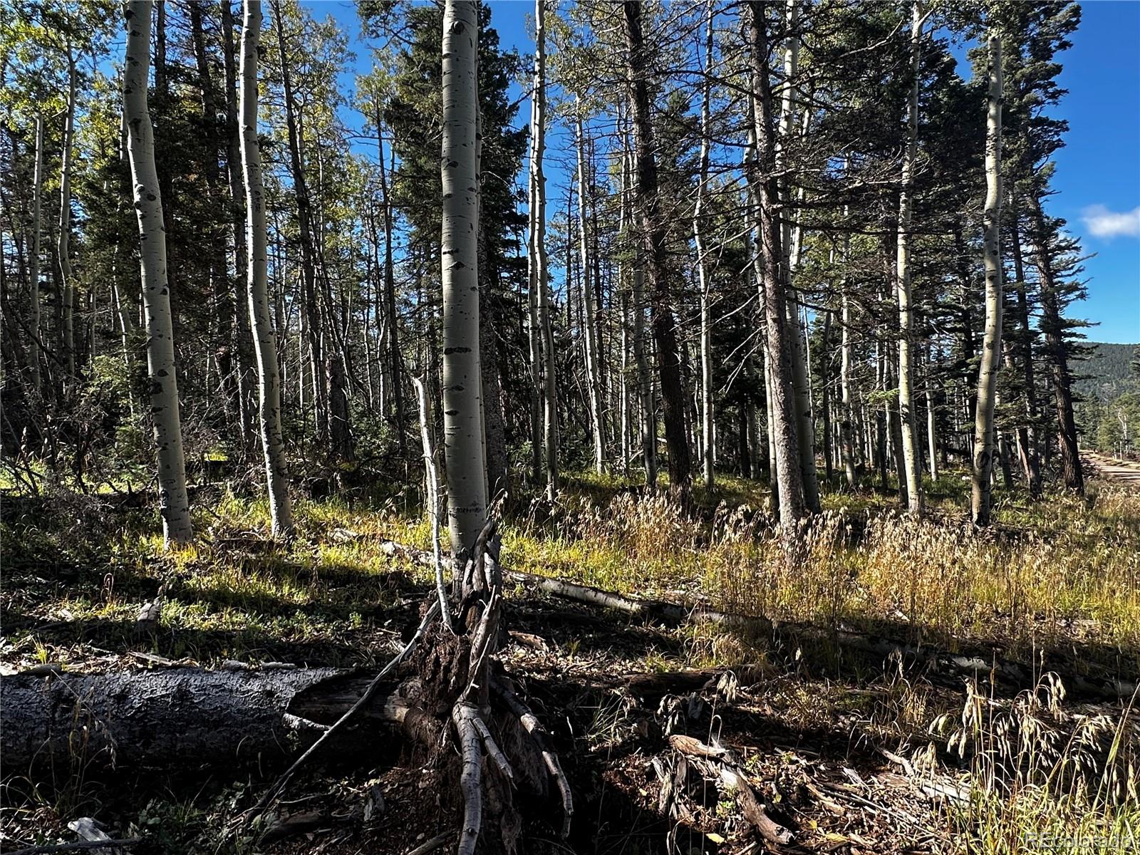 Lot 2652 Petito Drive Fort Garland CO 81133