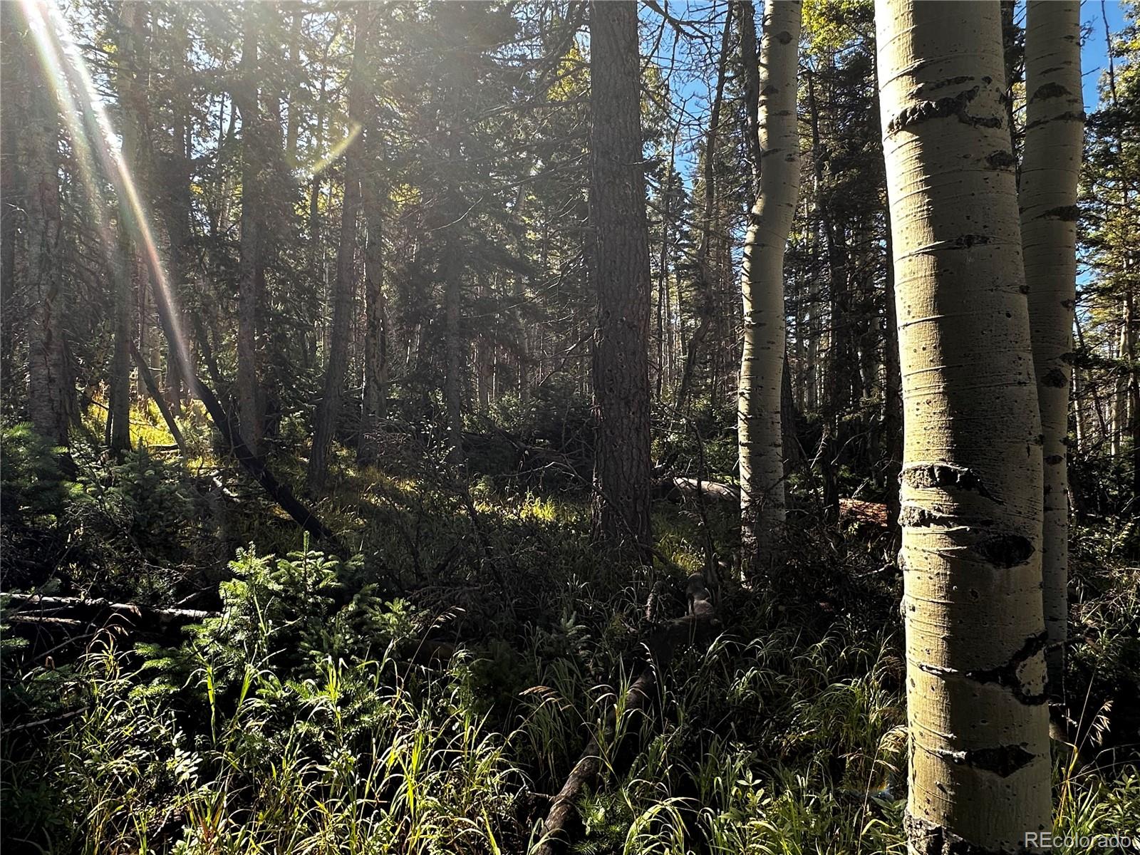 Lot 2652 Petito Drive Fort Garland CO 81133