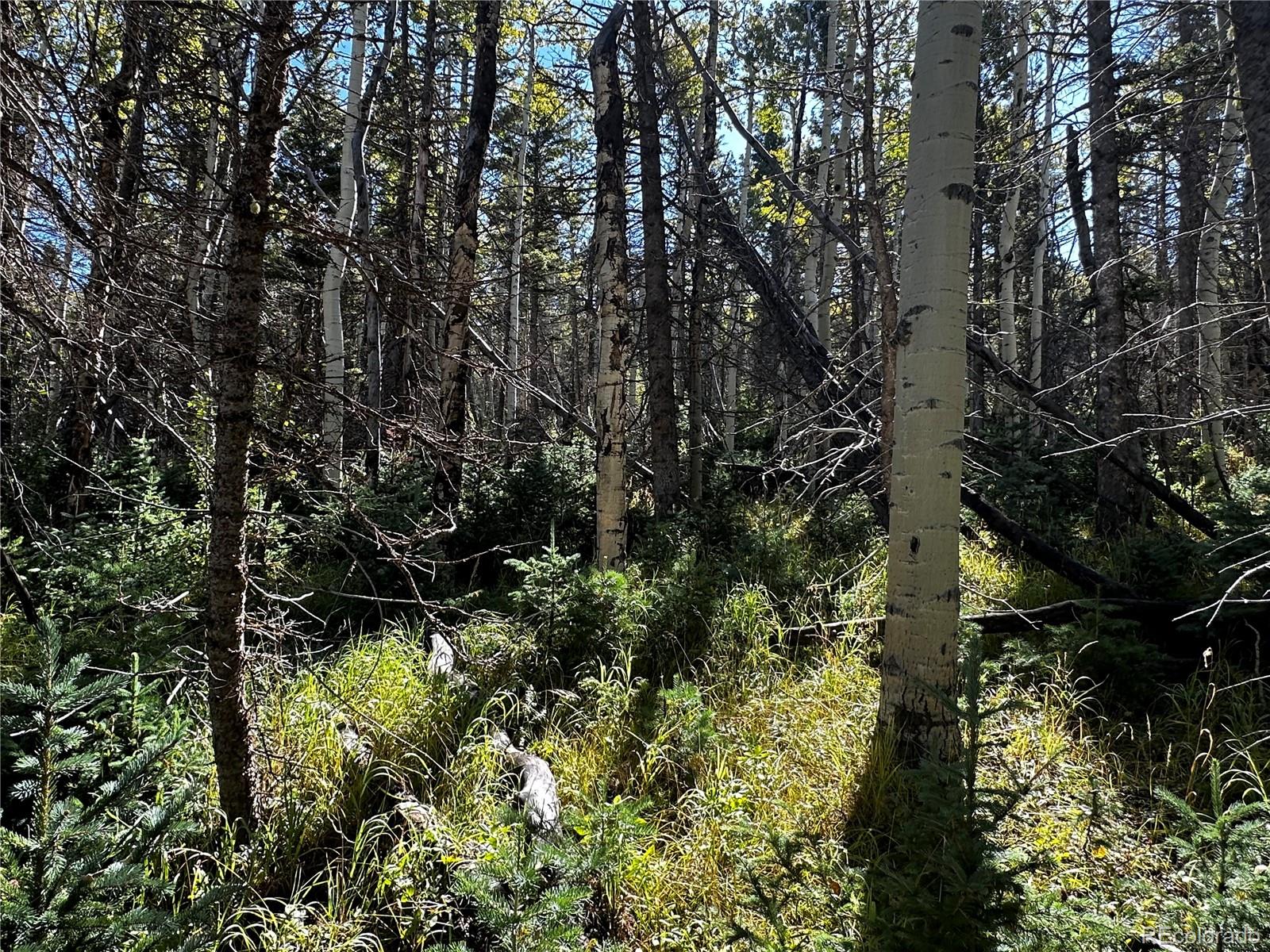 Lot 2652 Petito Drive Fort Garland CO 81133