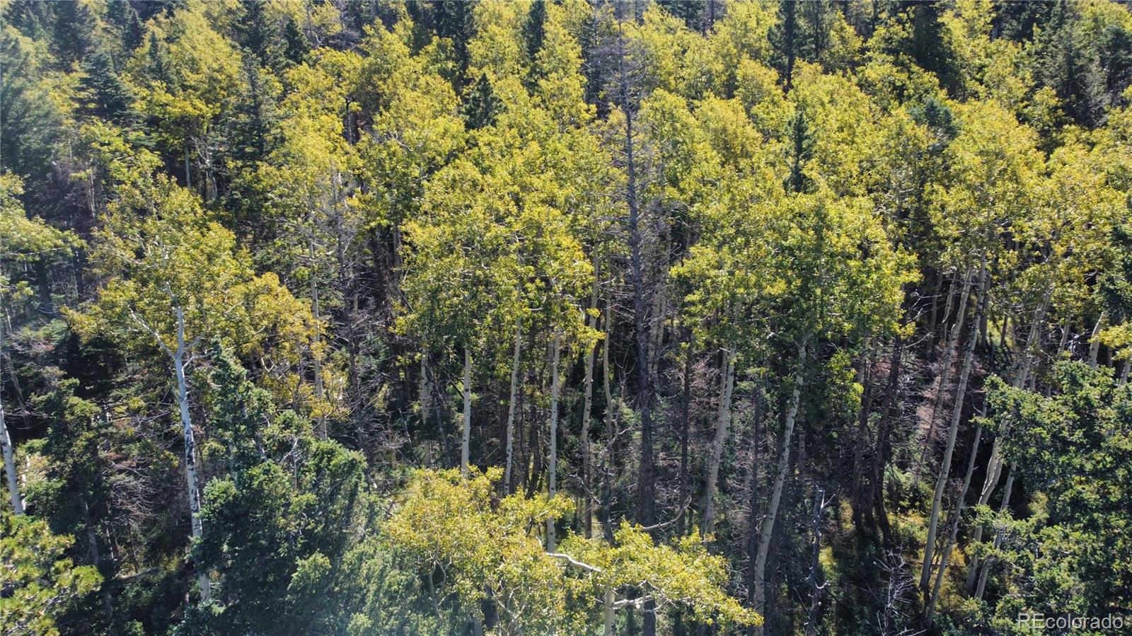 Lot 2652 Petito Drive Fort Garland CO 81133
