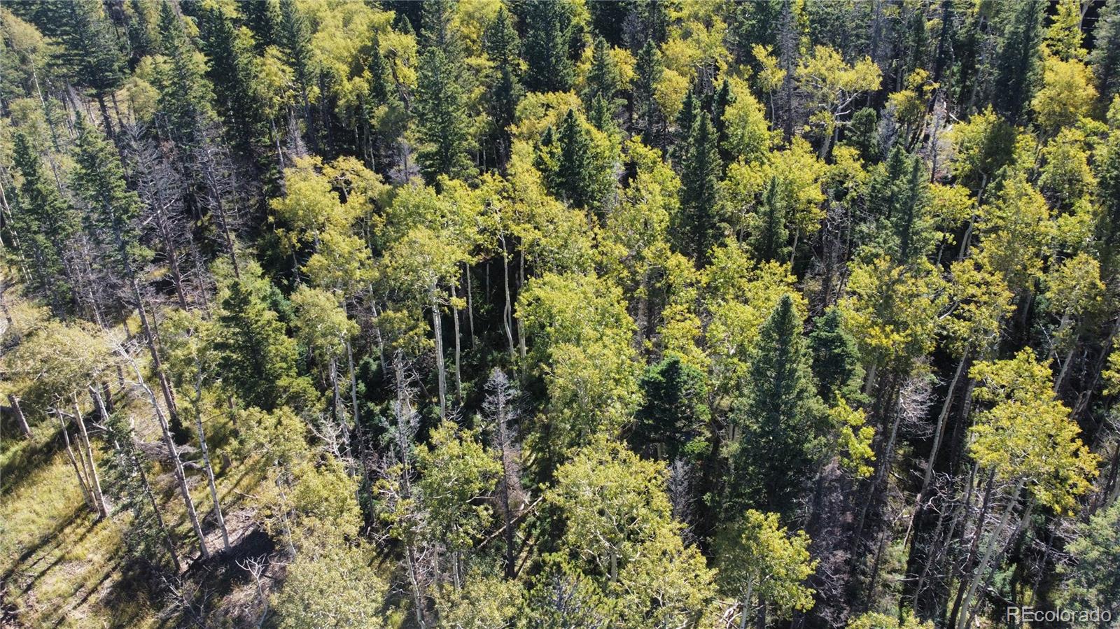 Lot 2652 Petito Drive Fort Garland CO 81133