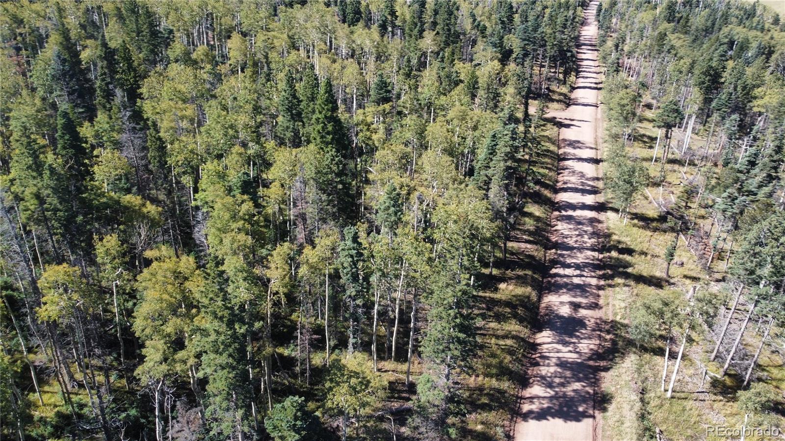 Lot 2652 Petito Drive Fort Garland CO 81133
