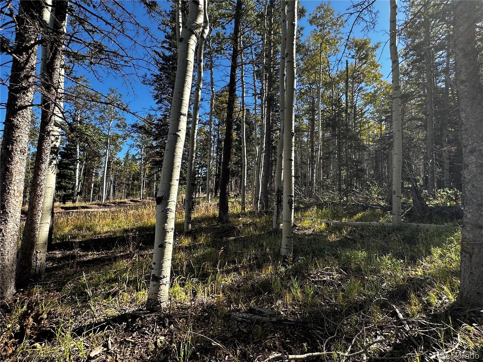 Lot 2652 Petito Drive Fort Garland CO 81133