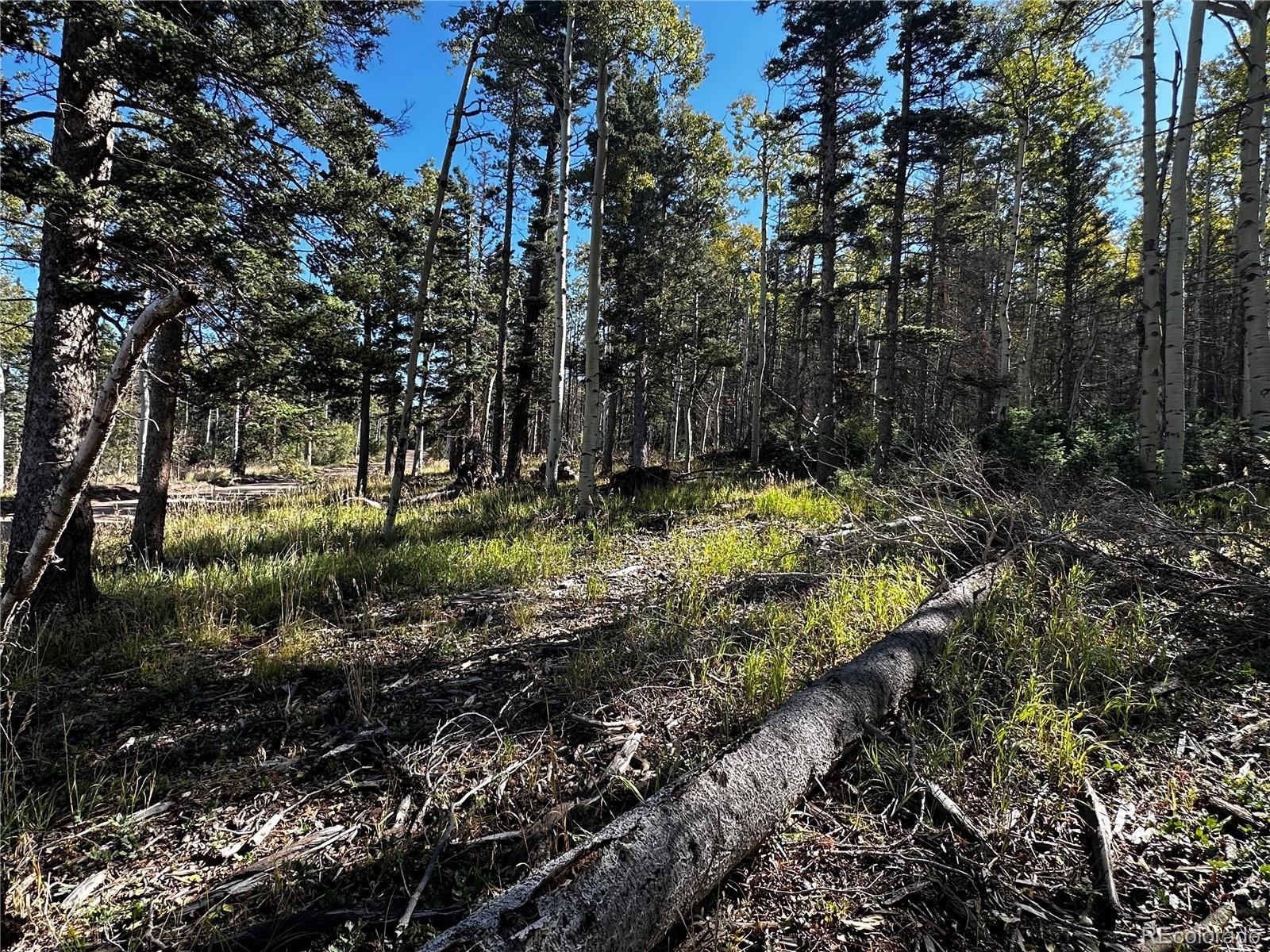 Lot 2652 Petito Drive Fort Garland CO 81133