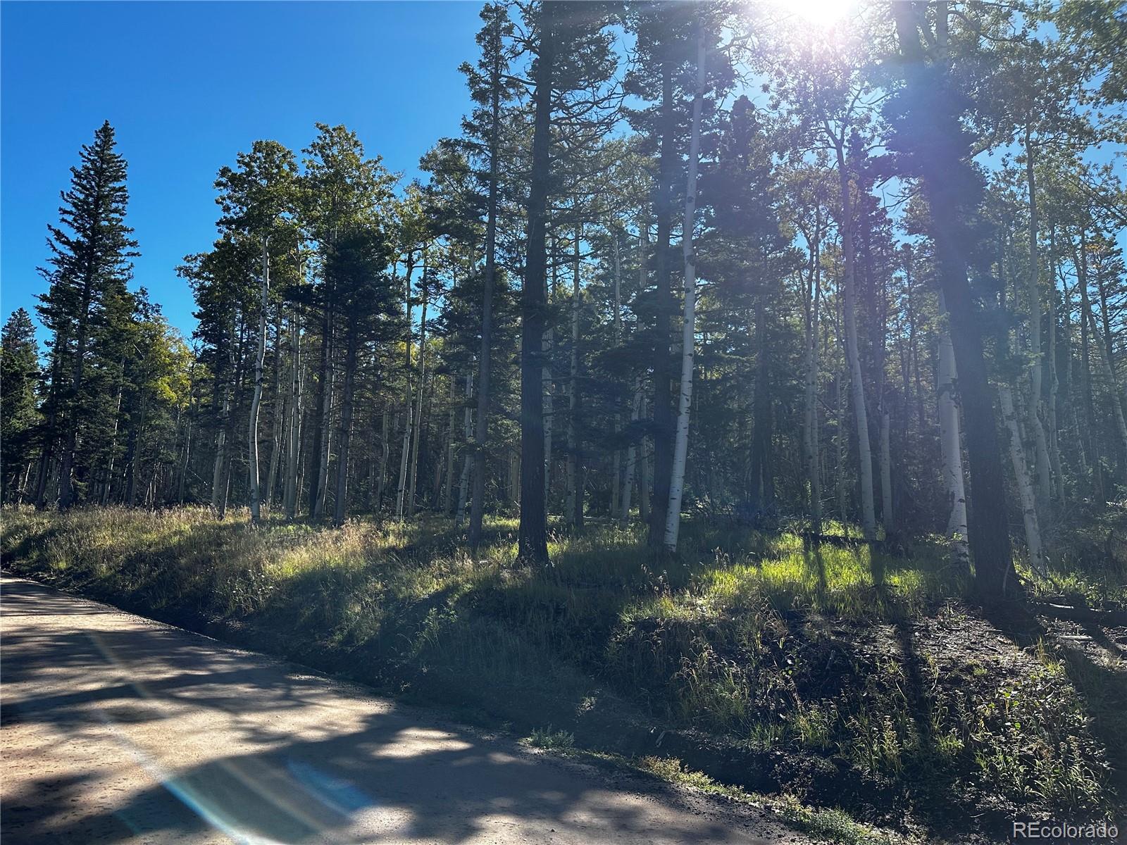 Lot 2652 Petito Drive Fort Garland CO 81133