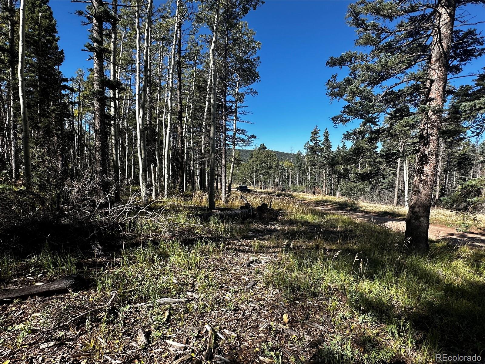 Lot 2652 Petito Drive Fort Garland CO 81133