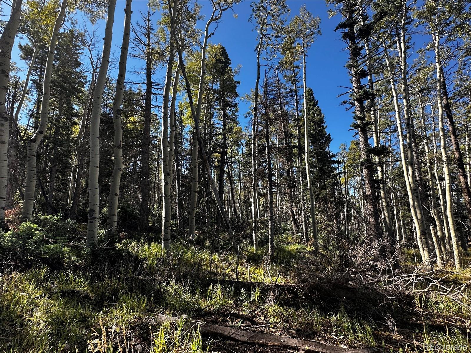 Lot 2652 Petito Drive Fort Garland CO 81133