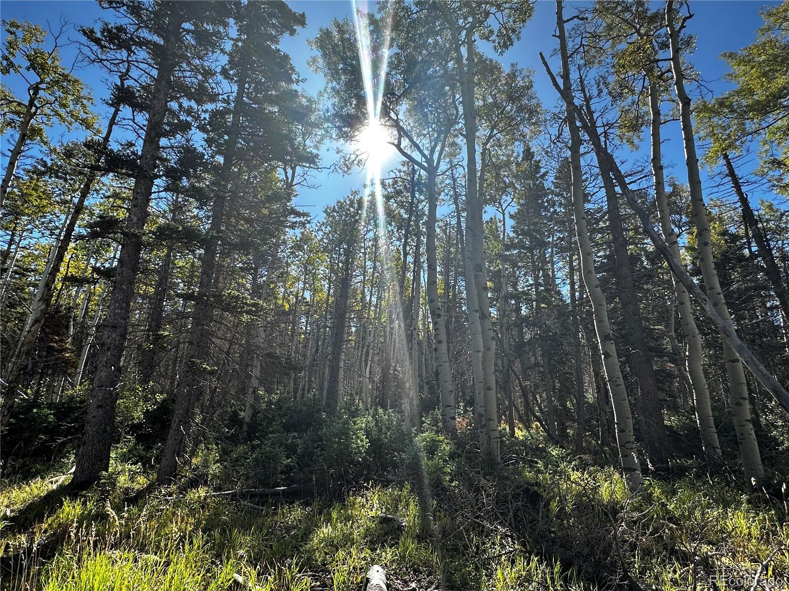 Lot 2652 Petito Drive Fort Garland CO 81133