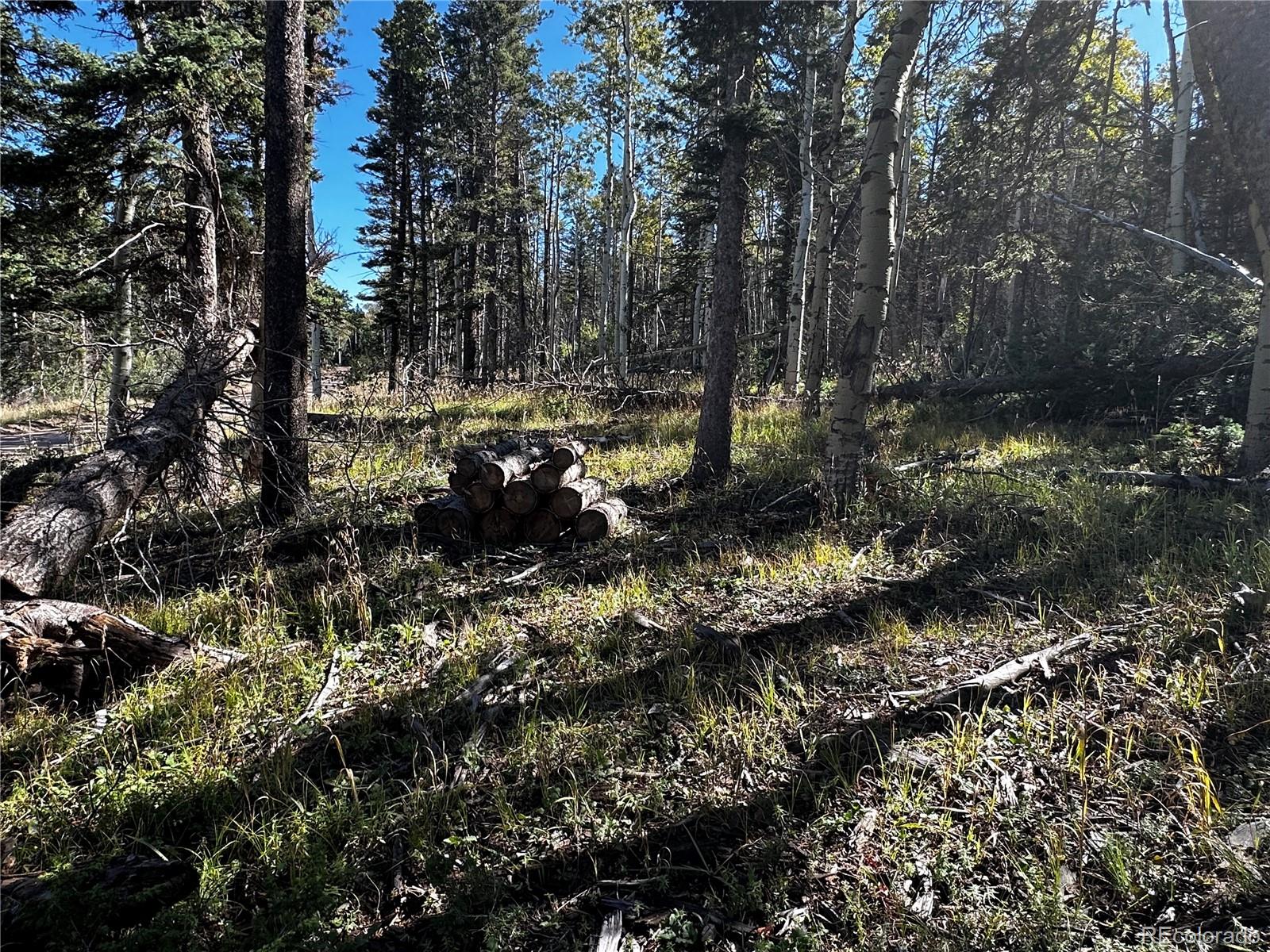 Lot 2652 Petito Drive Fort Garland CO 81133