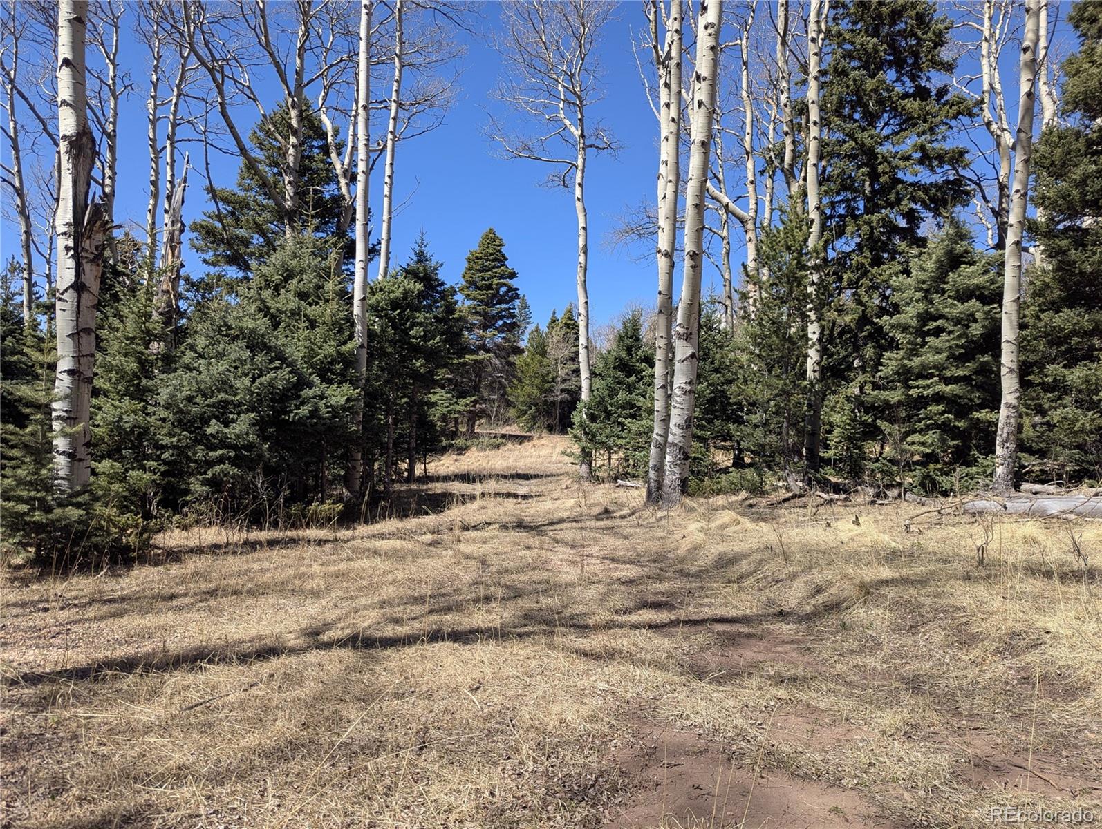 2664 Grojean Drive Fort Garland CO 81133