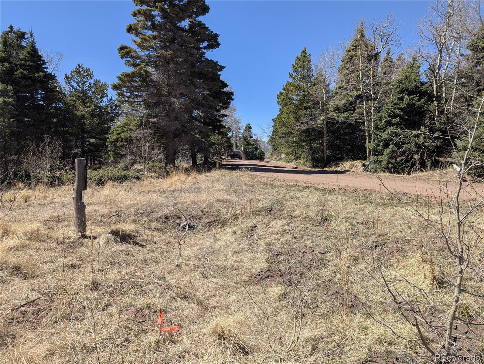 2664 Grojean Drive Fort Garland CO 81133