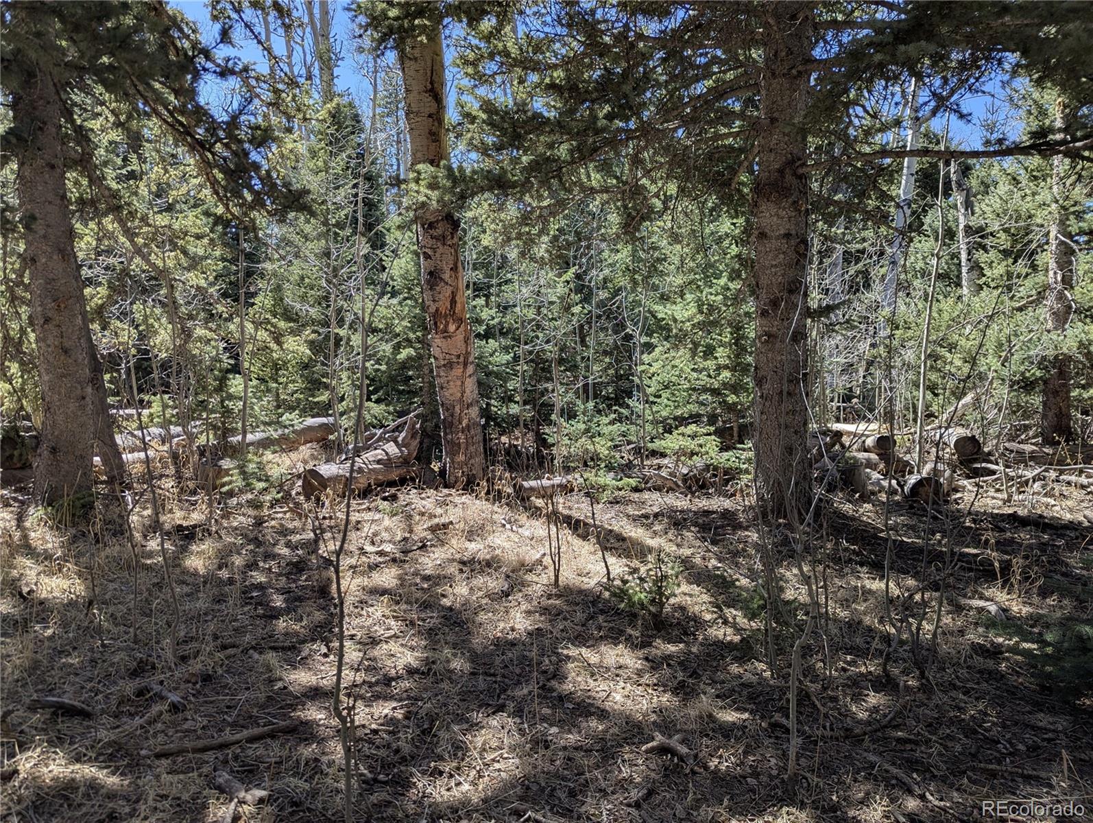 2664 Grojean Drive Fort Garland CO 81133