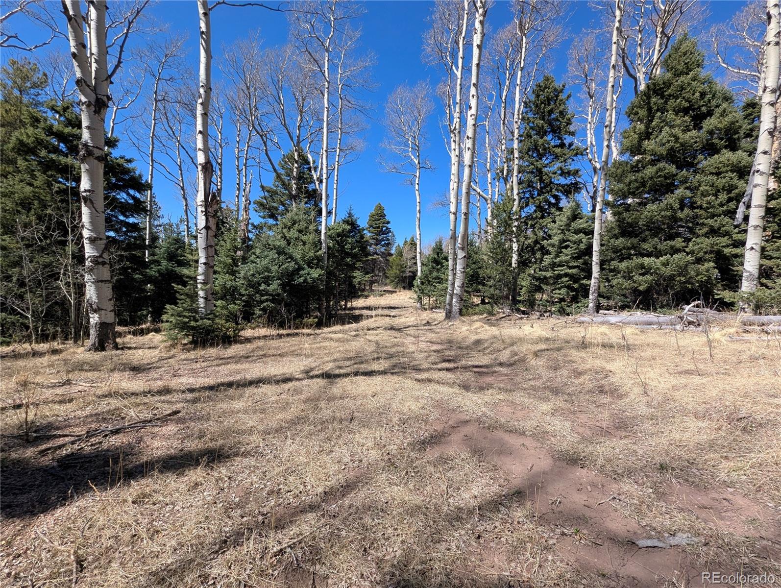 2664 Grojean Drive Fort Garland CO 81133