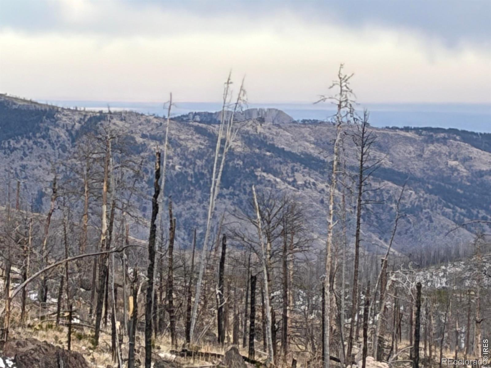 2025 Granite Road Bellvue CO 80512