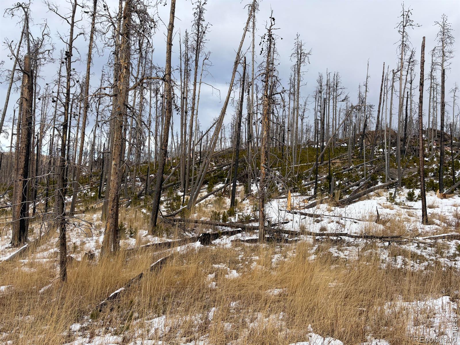 2025 Granite Road Bellvue CO 80512