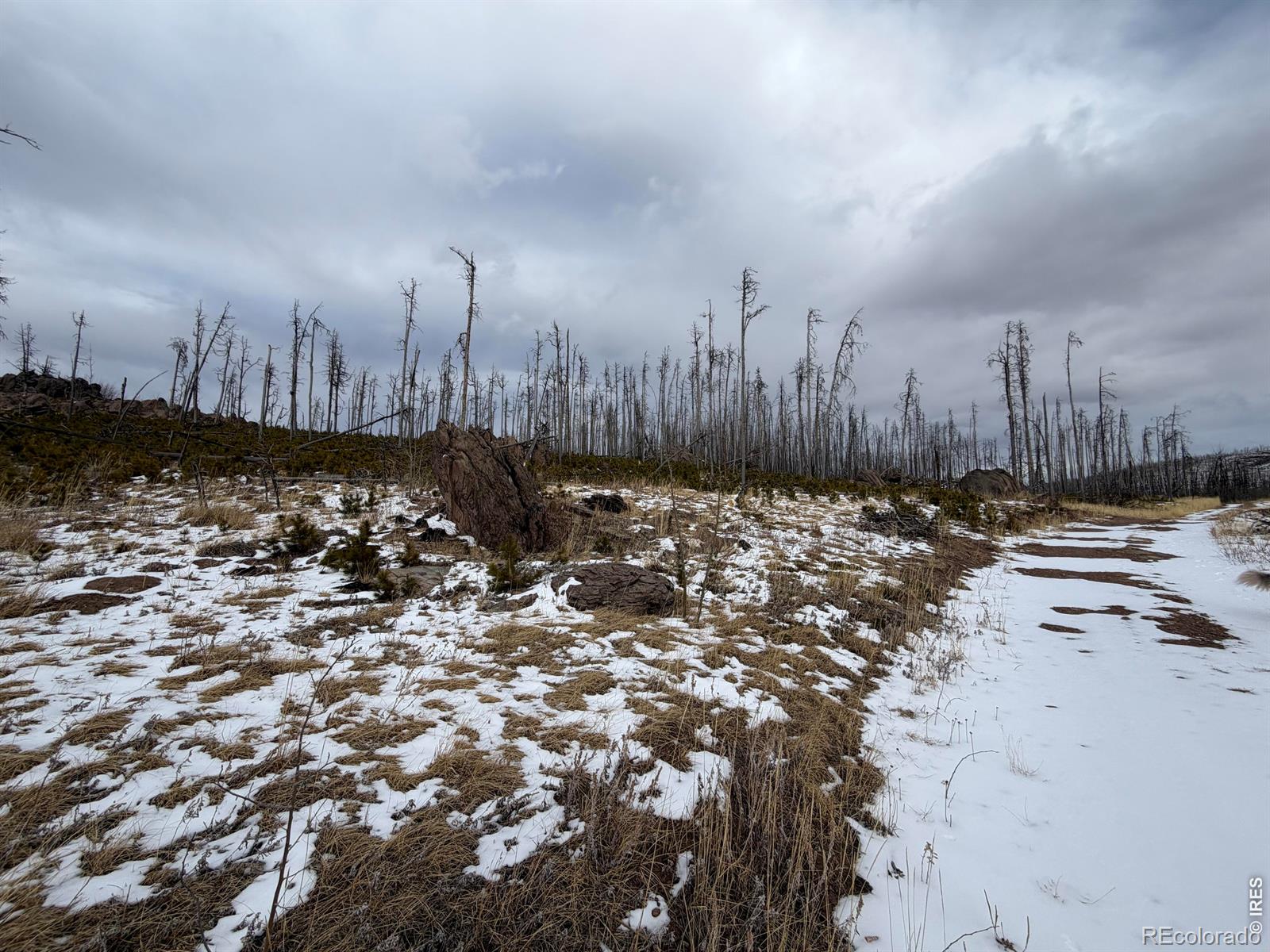 2025 Granite Road Bellvue CO 80512