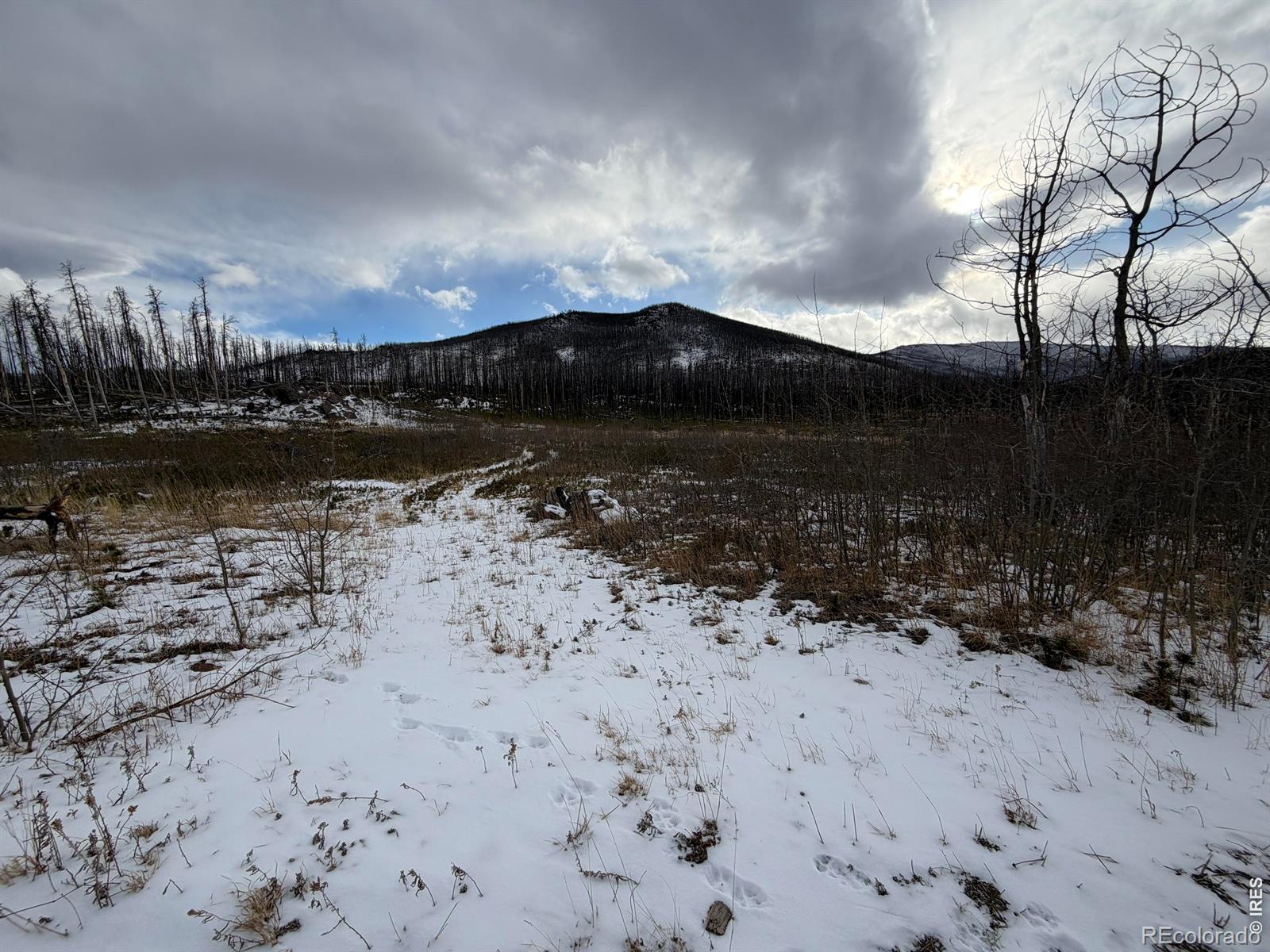 2025 Granite Road Bellvue CO 80512