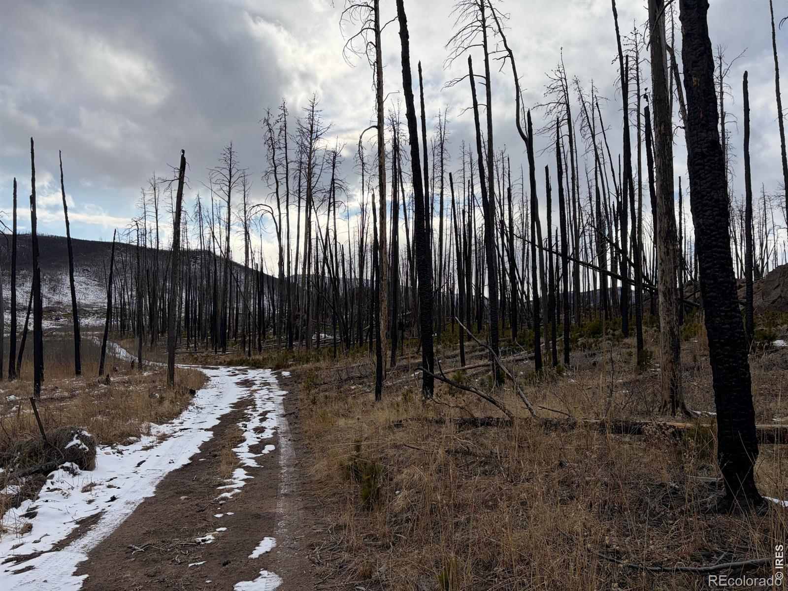 2025 Granite Road Bellvue CO 80512