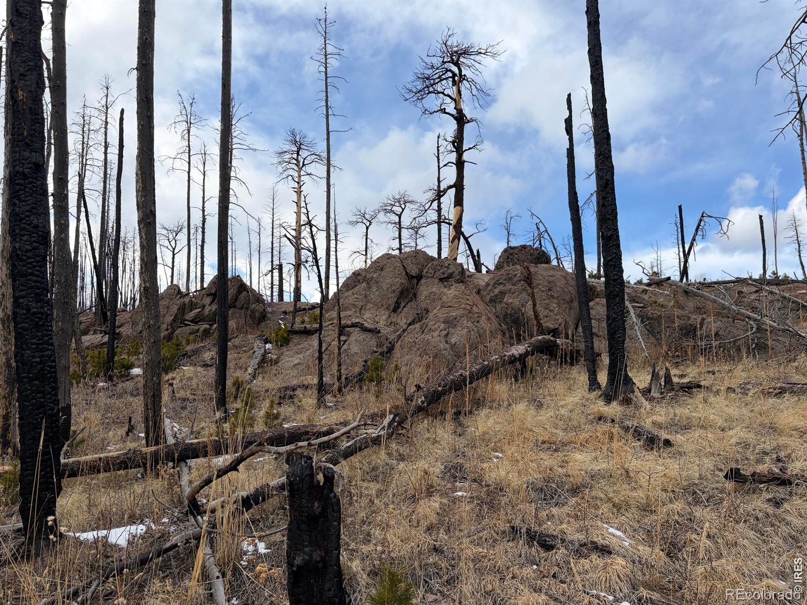 2025 Granite Road Bellvue CO 80512