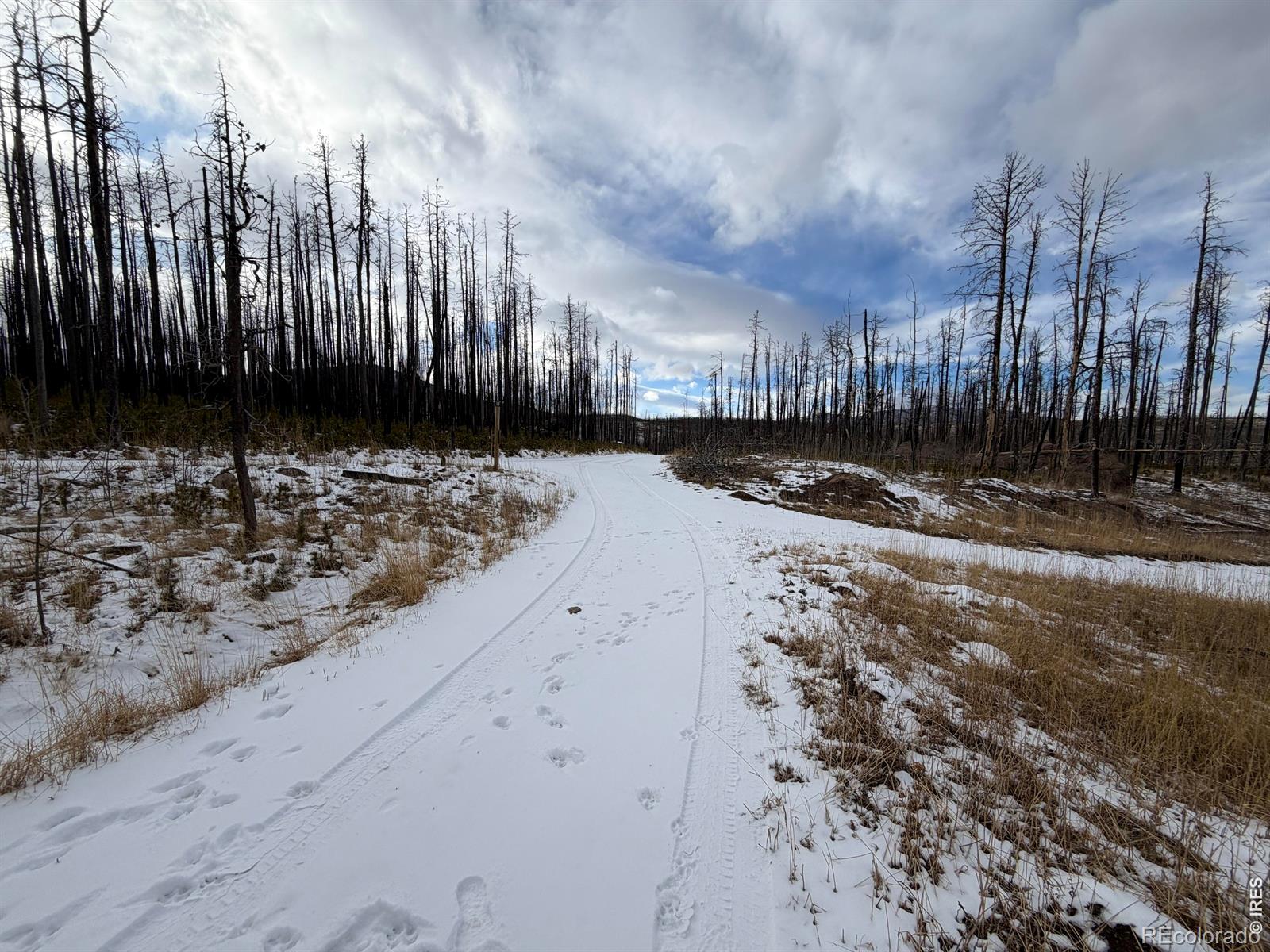 2025 Granite Road Bellvue CO 80512