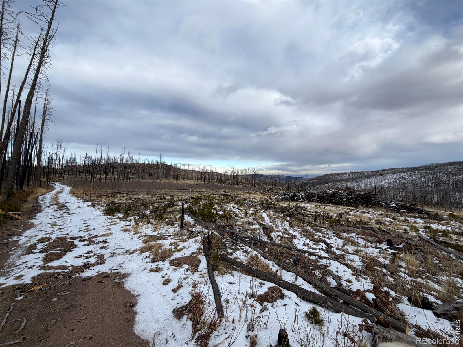 2025 Granite Road Bellvue CO 80512