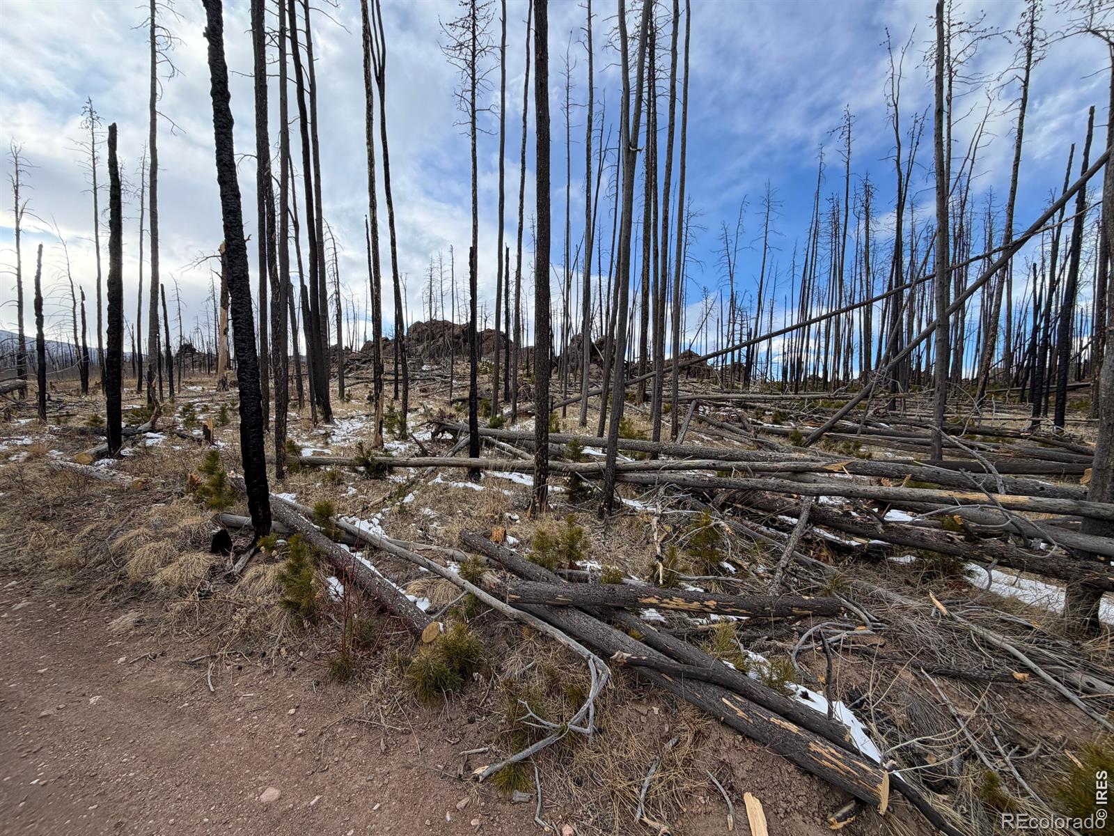 2025 Granite Road Bellvue CO 80512