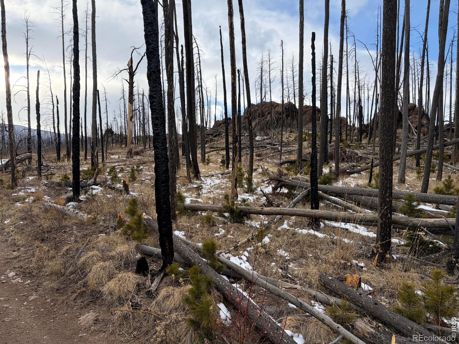 2025 Granite Road Bellvue CO 80512